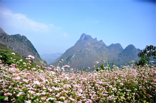 ha giang